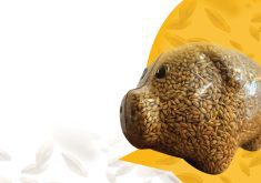 Exactly what changes may come from this process, described as a once-in-a-generation opportunity to revise the rules, is not yet clear.