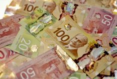 Digital agriculture gets funding boost