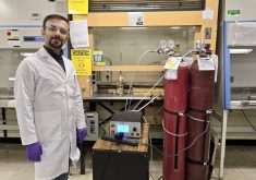 Ehsan Feizohalli is one of the researchers who helped test the use of cold plasma to decontaminate grains.
