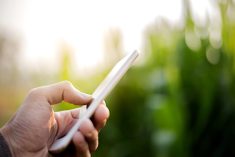 How best should growers and agronomists interpret the gigabytes, if not terabytes, of ag data available to them?