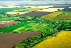 Failing to protect biodiversity, prevent deterioration in water quality and such will likely come back to bite us politically.
