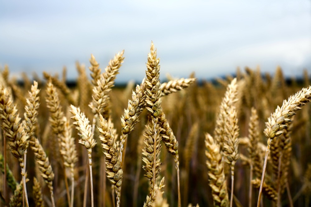 Photo: iStock
