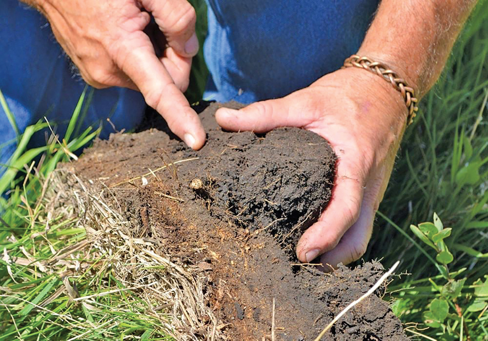 Getting insight into the contents of your soil through DNA testing can help you make better cropping decisions the firm behind the technology says.