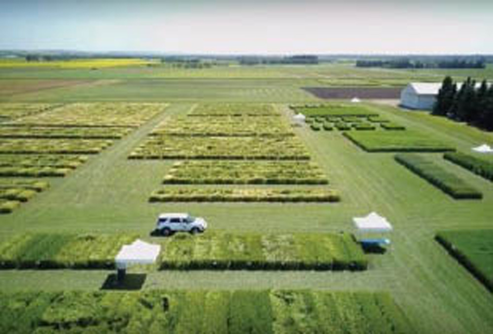 The Field Crop Development Centre/Western Crop Innovation site.