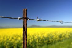 ‘Yes, we need to protect and enhance the environment that we share, but granting the power to impose one group’s priorities on other people … is ceding the battle now and in the future to those whose stated objective is to shut down agriculture completely.’