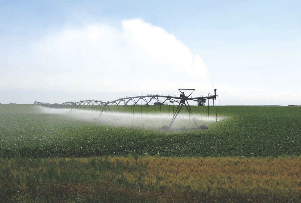 Water law professor David Percy says a culture of negotiation has taken the edge off the "first in time, first in right" principle that guides water rights in Alberta. 