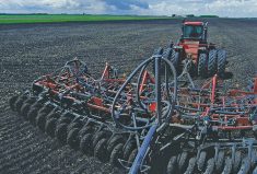 Check your canola seeding rates