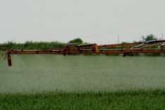 Keep it Clean’s 2024 Product Advisory contains no new products on its list for cereals.