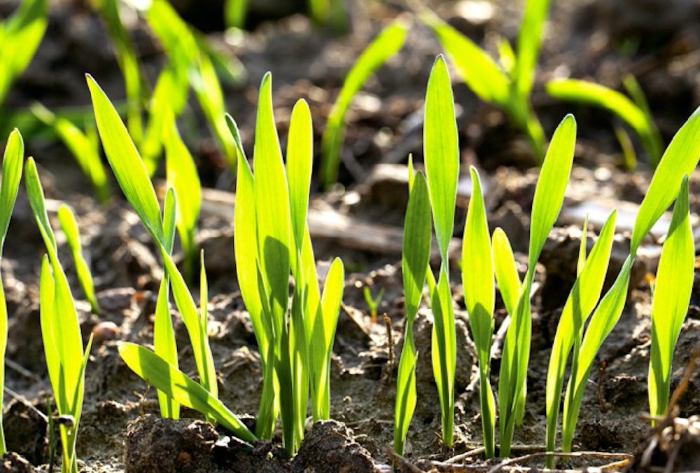 Photo: Thinkstock
