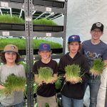 From left to right: Reese Bert, Noah Van Langen, Nate Ference and Drew Leeds hold up some of the material grown with Altario school's hydroponics system.
