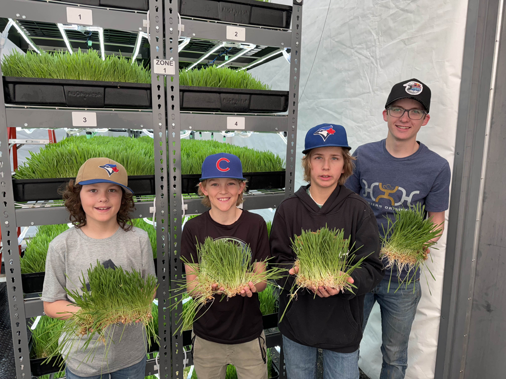 From left to right: Reese Bert, Noah Van Langen, Nate Ference and Drew Leeds hold up some of the material grown with Altario school's hydroponics system.