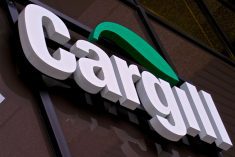 The main issues driving labour action for Cargill workers are pay, working hours, and overtime.