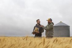 Jeremy Boychyn confers with Devin Hartzler, Alberta Grains second vice-chair and region two director.