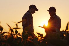 A study from the Canadian Agriculture Human Resource Council shows that agriculture wages lack compared to other sectors such as construction, manufacturing, and transportation.
