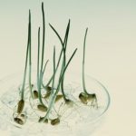 Photo: Thinkstock