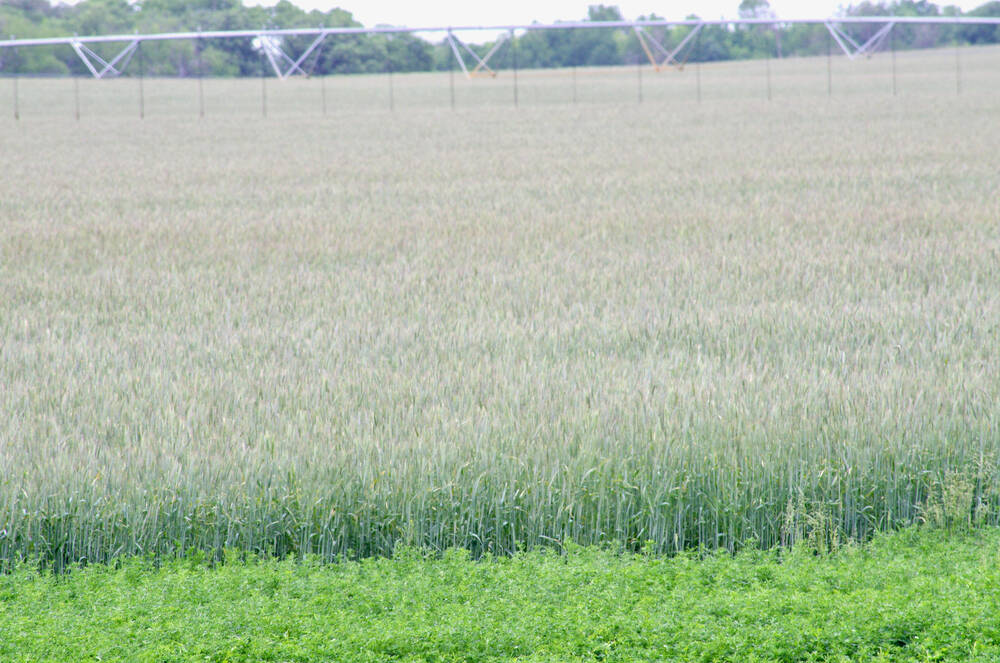 Different soil requires different irrigation management