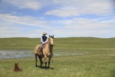 Taylor Ranches win 2024 Environmental Stewardship Award