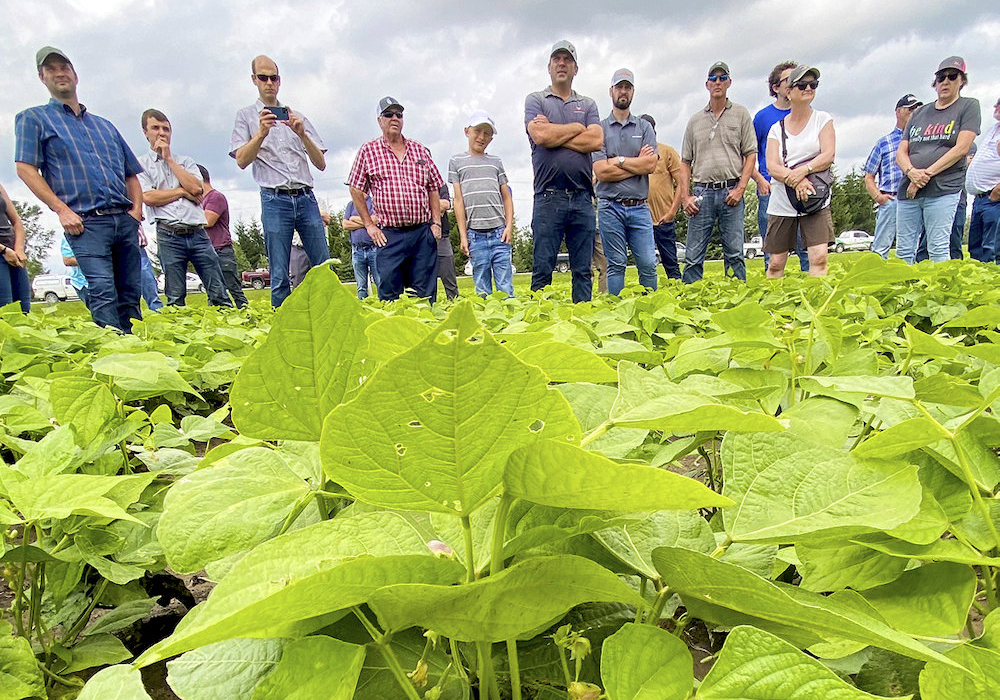 The success of Highland Custom Farming’s 15-inch cranberry beans drew a lot of questions during the Grey County Soil and Crop Improvement Association’s July 16 crop walk and elevator tour. Photo: Diana Martin

