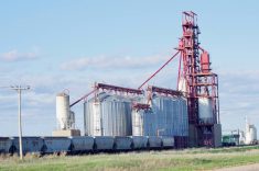 A train of grain cars stops at Cargill's elevator near Nesbitt, Man. PHOTO: ALEXIS STOCKFORD