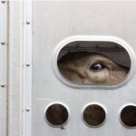 (DWalker44/iStock/Getty Images)