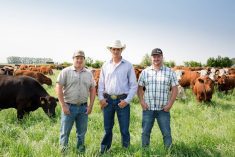 Doerksen Brothers named Alberta’s 2024 Outstanding Young Farmers
