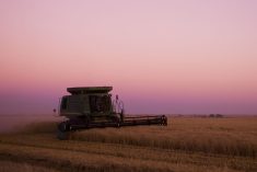 (Photo courtesy Canada Beef Inc.)
