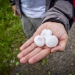 Photo: iStock/Getty Images Plus