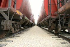 Grain cars being loaded. PHOTO: ALLAN DAWSON