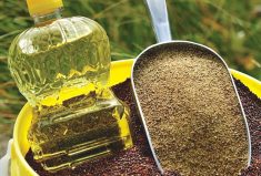 Photo: Canola Council of Canada