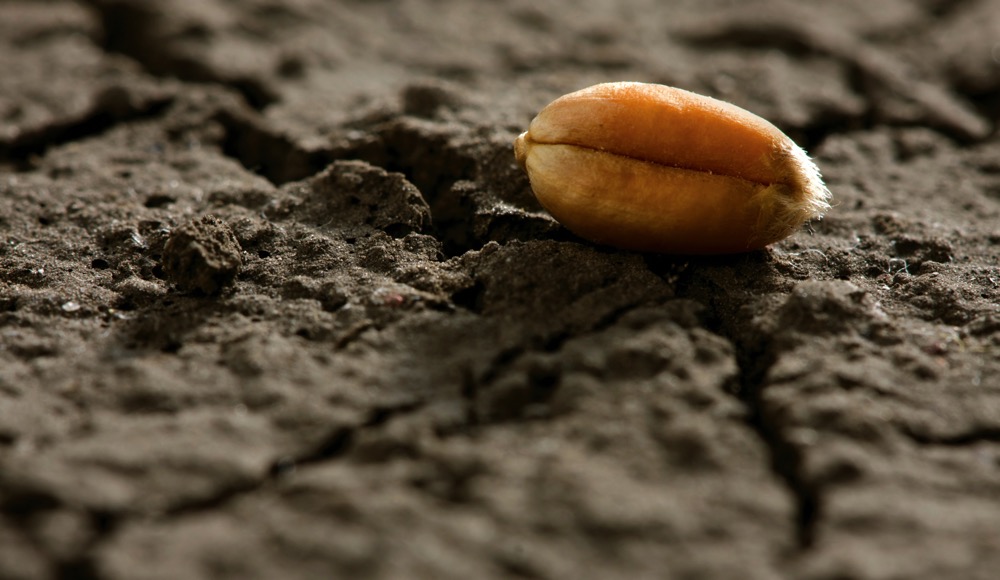 Photo: Thinkstock
