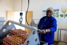 Canadian egg farmers celebrate Eswatini partnership