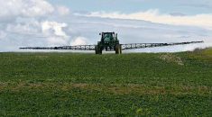 Researchers look for alternatives to glyphosate