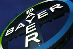 Photo: Bayer