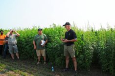 Jeff Kostuik of Verve Seeds (left) and Clarence Shwaluk of Manitoba Harvest speak at a southwestern Manitoba field day near Melita in July 2024.