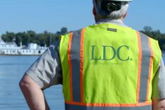 (Louis Dreyfus video screengrab via YouTube)