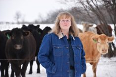 Waldner awarded for outstanding research and innovation to cattle sector