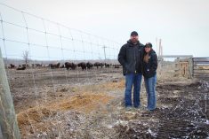 Métis bison ranchers Jason and Erin Boily, on their land near Richer in early 2023.