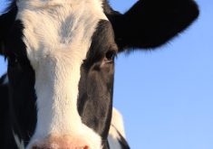 Photo: iStock/Getty Images