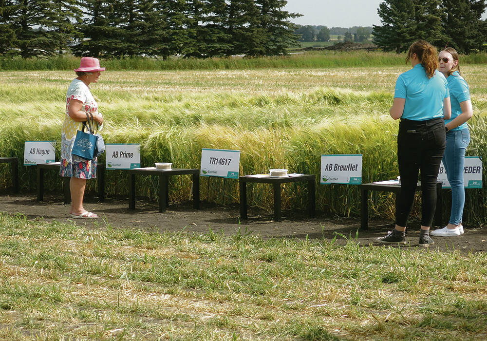 Crop plots featured at the 2022 AgSmart event on the Olds College Smart Farm. 