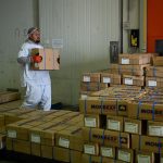 A worker packs boxes of processed meat at the Monbeef abattoir in Cooma, Australia October 10, 2024. REUTERS/Tracey Nearmy