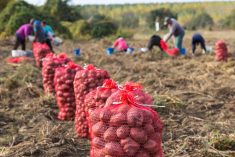 (RGtimeline/iStock/Getty Images)
