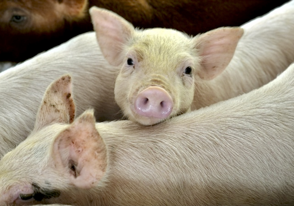 Photo: Thinkstock
