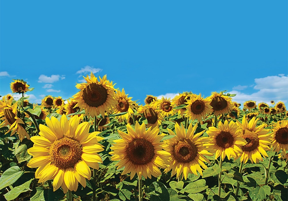 Photo: Thinkstock
