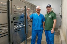 American company to debut eggs from in-ovo sexed chicken flock