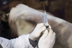 Alberta releases new antimicrobial resistance strategy