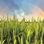 Photo: Thinkstock