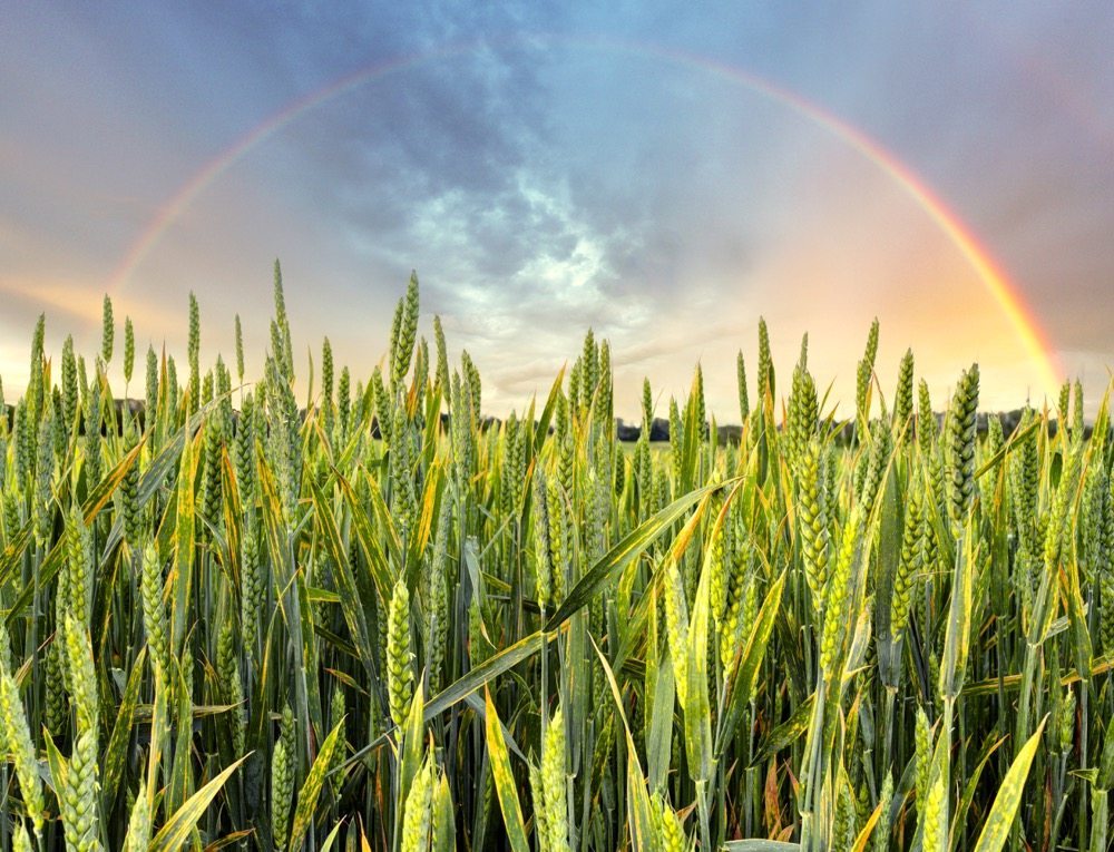 Photo: Thinkstock
