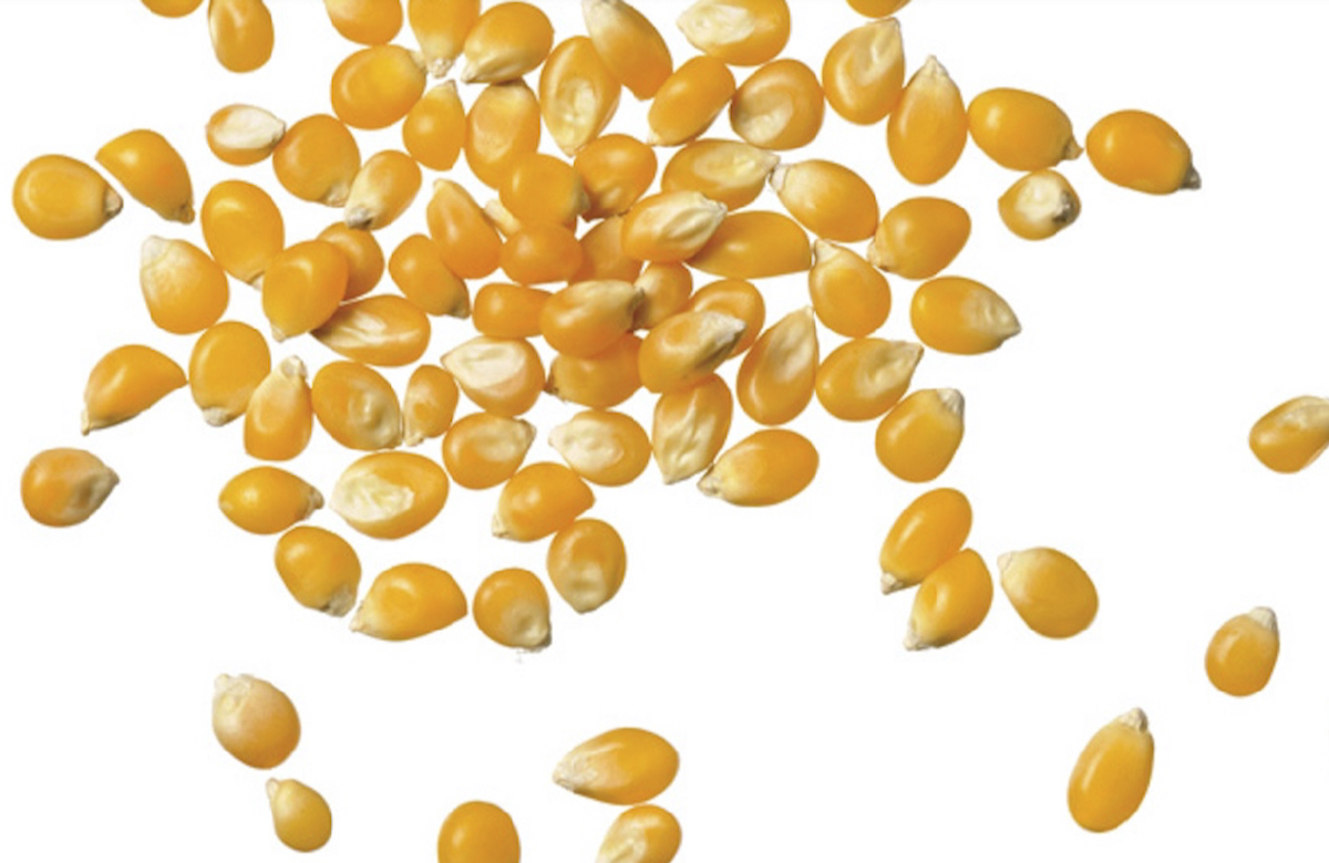 Photo: Thinkstock
