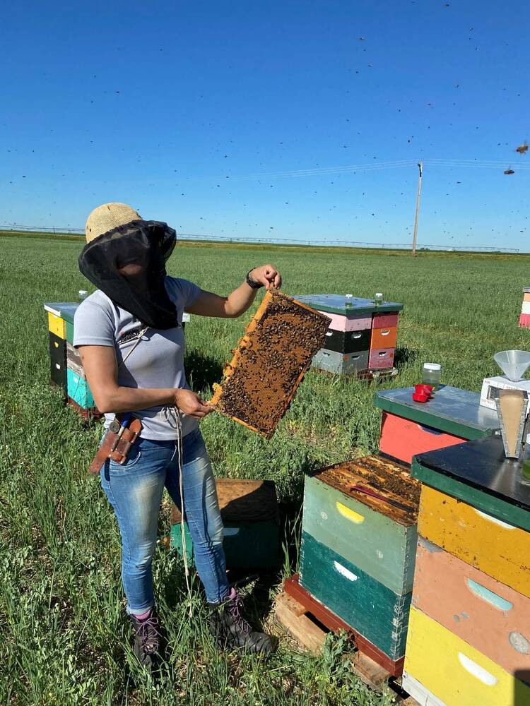 Renata Labuschagne, tech transfer program lead with the Alberta Beekeepers Commission, spoke at a webinar hosted by Alberta Agrisystems living lab. Labuschagne talked about the bee industry, and well as the Alberta Beekeepers Commission, and the challenges beekeepers face.