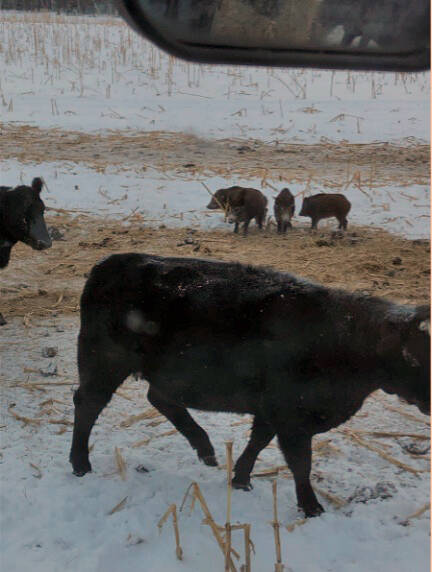 Prairie research projects receive $3.3 million in funding
